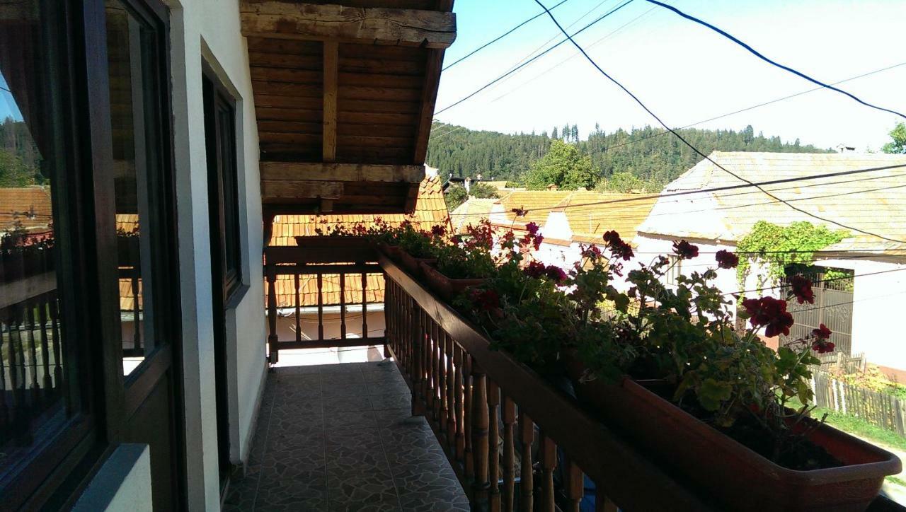 Hotel Casa Piatra Craiului Zărneşti Zewnętrze zdjęcie