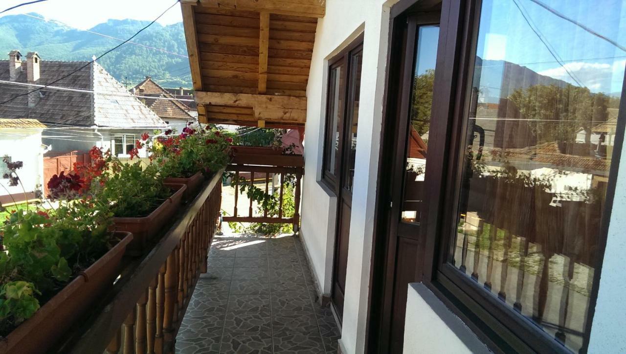 Hotel Casa Piatra Craiului Zărneşti Zewnętrze zdjęcie