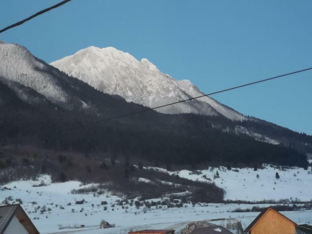 Hotel Casa Piatra Craiului Zărneşti Zewnętrze zdjęcie